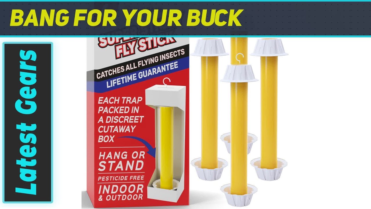 BugBane Sticky Fly Traps: Effective & Non-Toxic Solution? - YouTube