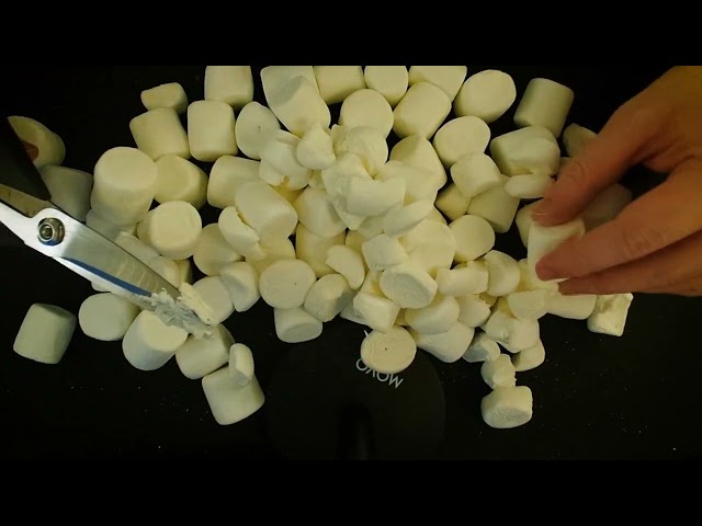 Marshmallows, A Treat for Your Ears [FURRY ASMR]