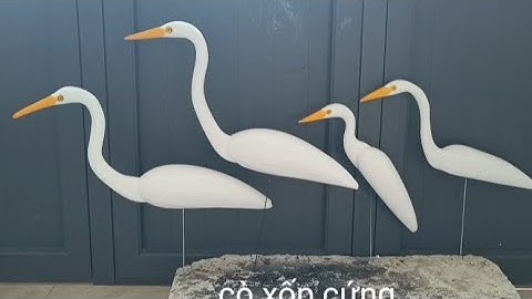 cỏ xốp cứng 098 948 5182