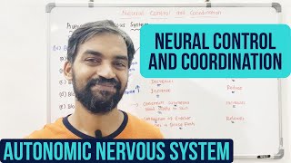 Neural control and coordination | Autonomic Nervous System