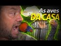 VISITANTO TODAS DAS MINHAS AVES! | A CASA DOS BICHOS