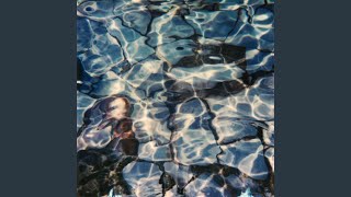 Barton Springs At Dusk