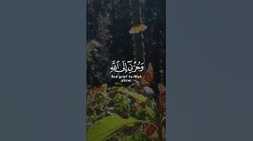 #آيات #اكسبلور #القرآن_الكريم #ايات_قرانيه_قصيره