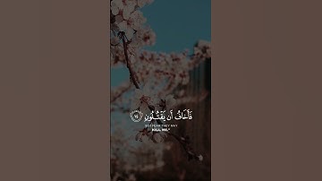{وَإِذْ نَادَىٰ رَبُّكَ مُوسَىٰ أَنِ ائْتِ الْقَوْمَ الظَّالِمِينَ} [الشعراء : 10]القارئ إسلام صبحي