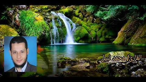 سورة الواقعة للقارئ محمد نبيل