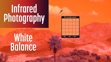 Secret to White Balance in Infrared Photography