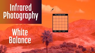 Secret to White Balance in Infrared Photography