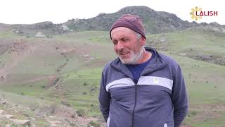 Download Lagu Ezdi li chiya MP3