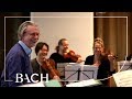 Van Veldhoven on Bach Cantata BWV 29 | Netherlands Bach Society