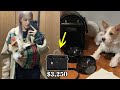 BLACKPINK Rosé’s Dog, Hank, Is So Rich That You Probably Can’t Afford His Saint Laurent Accessories