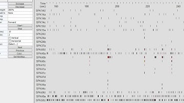 NeuroExplorer mini animation of the raster plot after stimulation