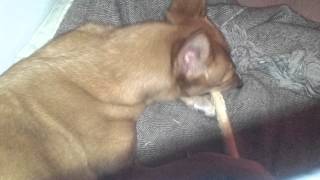 20120314_213744.mp4