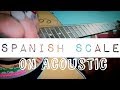 Spanish melody on acoustic latin feel covered by leadshafi