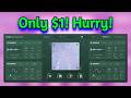 Stop What You’re Doing, This New $29 VST is Only $1 + FREE Gift - Evolve Nest Acoustics Lite
