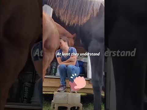 horse comforting her emotional owner