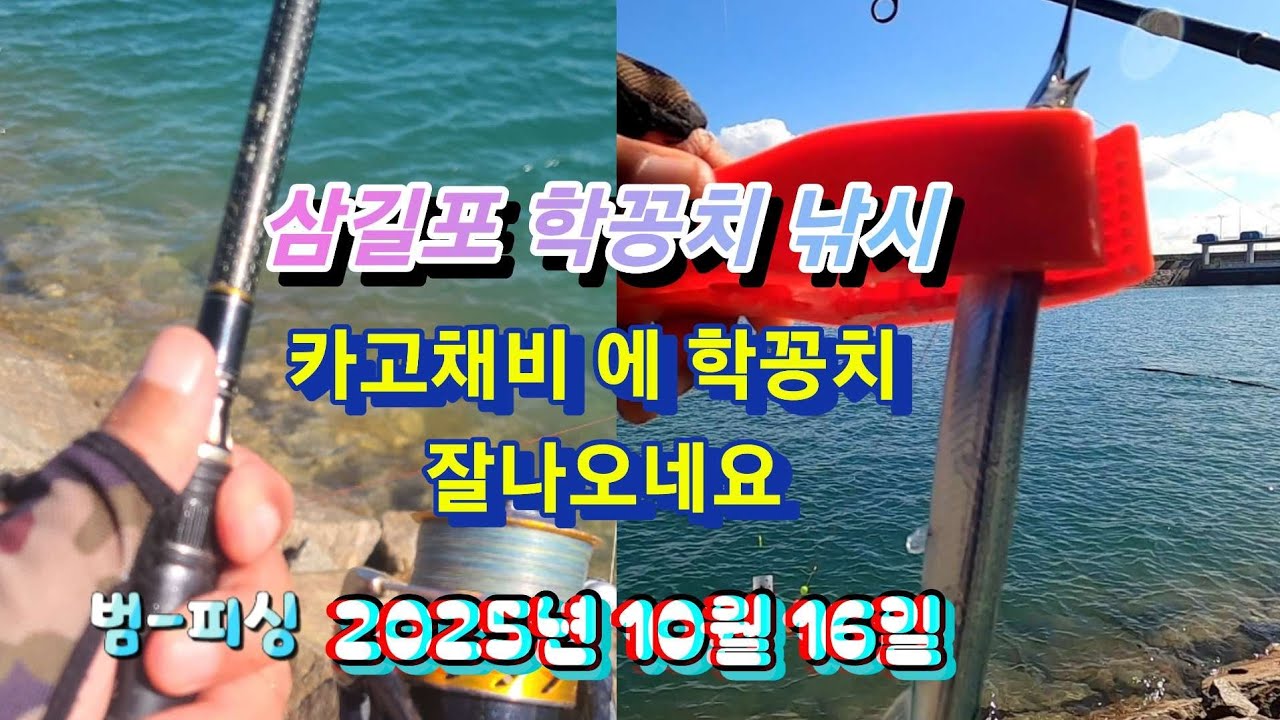 삼길포 학꽁치 낚시 카고채비 에 학꽁치 잘나오네요 ~