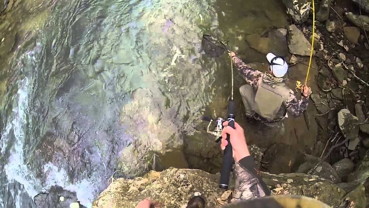 Trout Fishing Camp Creek WV YouTube