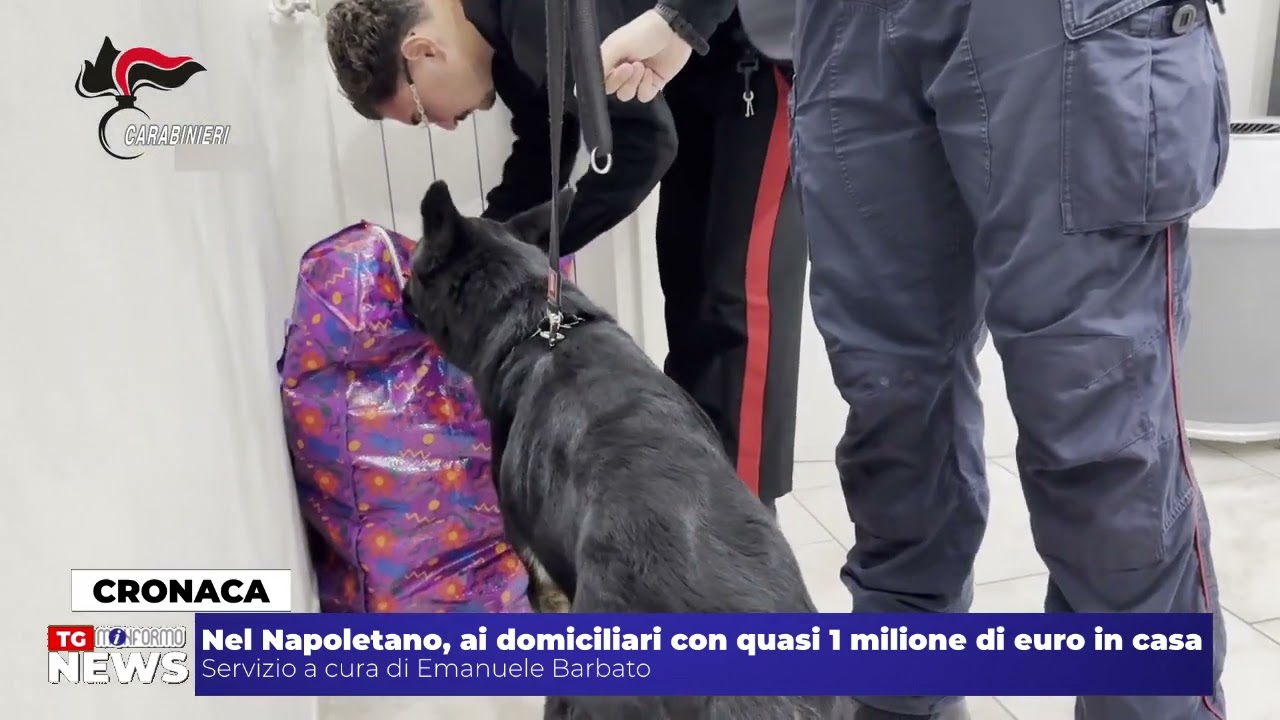 Nel Napoletano, ai domiciliari con quasi 1 milione di euro in casa