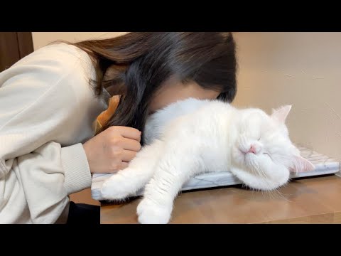 洗い立ての猫まくらに顔を埋めてみると…!?