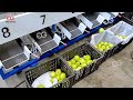 Apple Fruit Grading Machine Video #fruit #grading