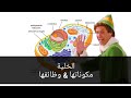 بيولوجيا الخلية | هيكل الخلية ووظيفتها | Cell Biology | Cell Structure \u0026 Function