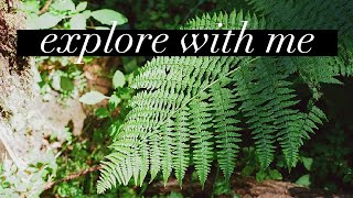 exploring Portland's FOREST PARK on film | 35MM FILM PHOTOGRAPHY by Elizabeth Davis 185 views 2 years ago 3 minutes, 11 seconds