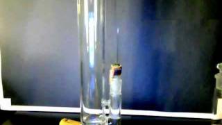 ApixDesign Stemline w/ Serendipity Slide and Grav-Labs A/C