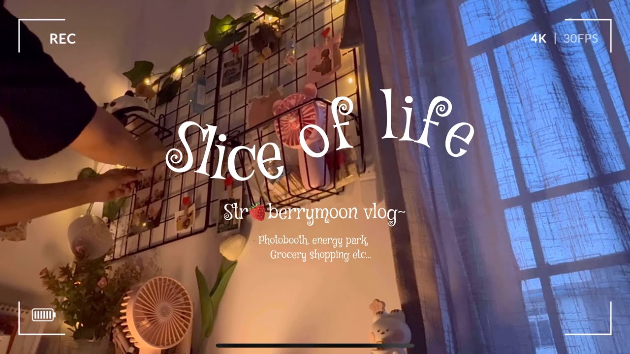 ✩🍃𝒟𝒶𝓎 🍓𝓊𝓉 𝓌𝒾𝓉𝒽 𝓂𝑒 🍃✩ | Photo Booth, park, grocery shopping 🛒 etc….