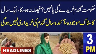 Samaa News Headlines 3 PM | Wheat Scandal | Punjab Government will not buy wheat | 11 May 2024