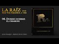 La Raíz - Donde Duerme el Chamán | Live in Vistalegre (Audio)