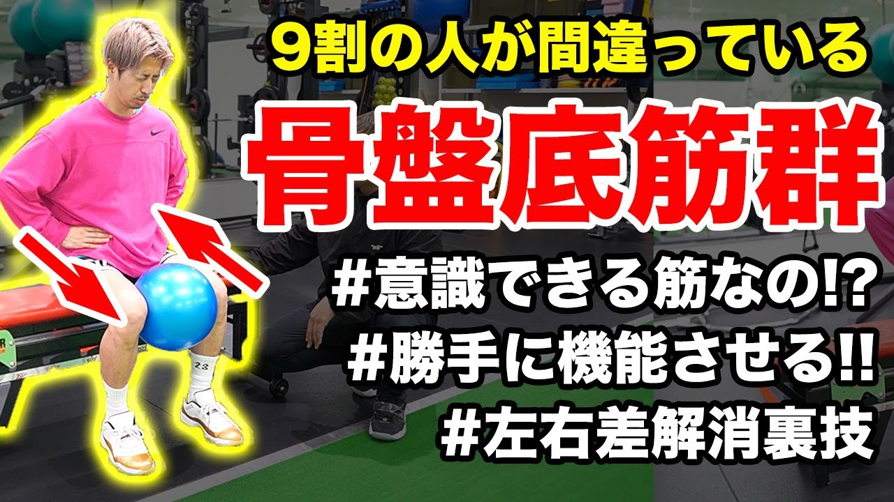 【骨盤底筋群】知らないとマジヤバい！骨盤底筋群の機能を高める方法・エクササイズを理学療法士が完全解説！