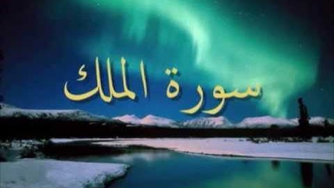 سورة الملك - الشيخ هادي فايد