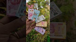 என்னது! இதுக்குள்ள காசு இருக்குமா!🔥 #shorts