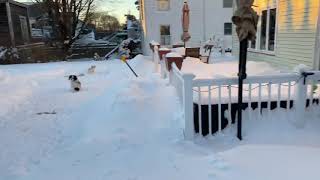 Calm after the storm ( 2020 nor’easter )