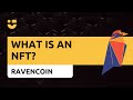 NiceTalk Highlights: What is an NFT?