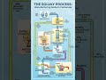 The Solvay Process | Manufacture of washing soda #education #chemistry #chemistrypage