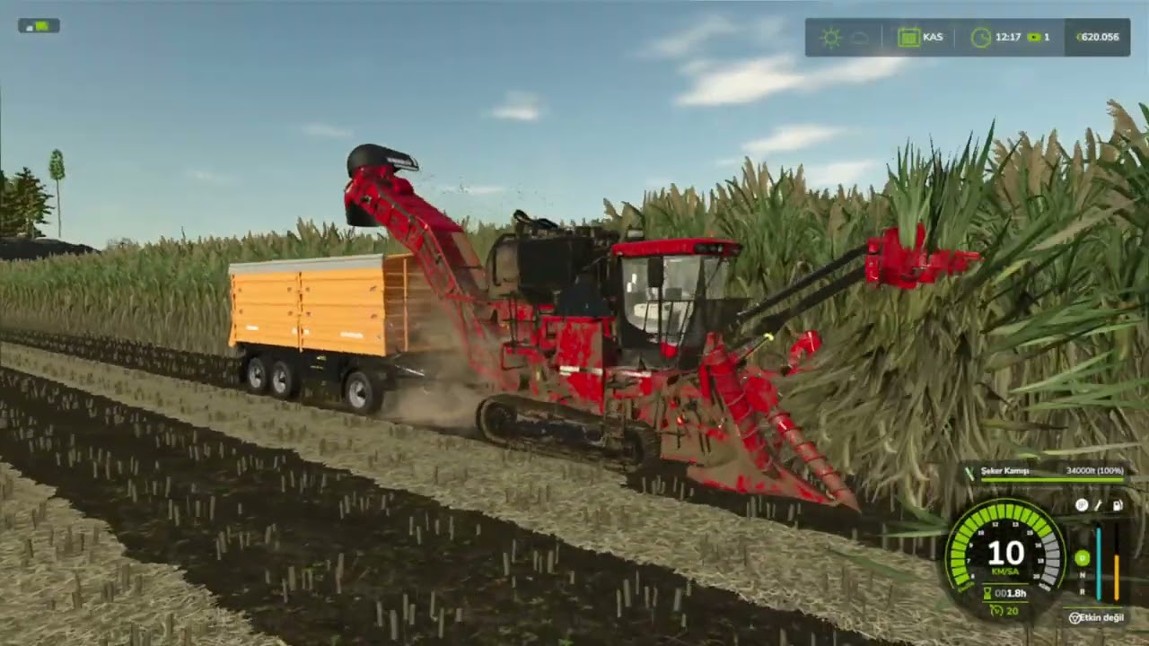 Case IH Austoft 8800 MR Sugarcane Harvest
