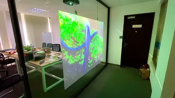 Digital Signage 🎦Projector for Glass Window -  Rear Projection Advertising