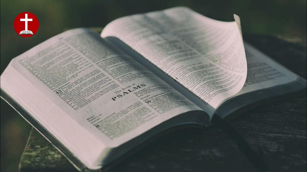 L'enlèvement de l'église est très proche Yool YouTube L'enlèvement de l'église est très proche Yool YouTube