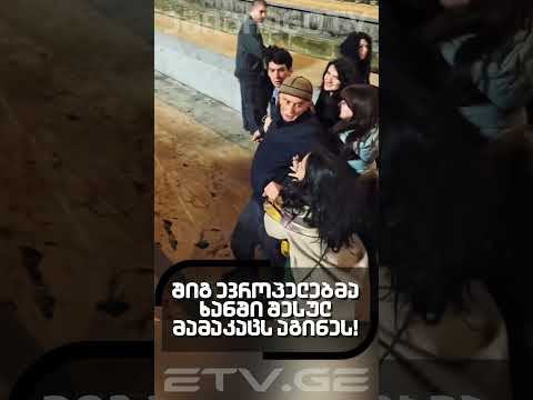 შიგ ევროპელებმა ხანში შესულ მამაკაცს აგინეს EmigrantTV 