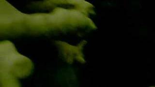 My 180 gal african cichlid tank by vik datta 41 views 16 years ago 1 minute, 31 seconds