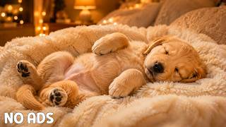 12 Hours Relaxing Dog Sleep Music 🎹 Soft Piano for Anxiety Relief screenshot 5