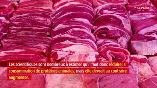 Europe : bientôt une taxe sur la viande ?