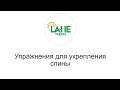 Упражнения на фитболе для укрепления мышц спины. Лечебная физкультура. ЛФК