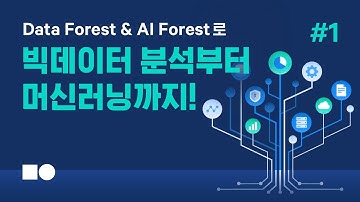 [웨비나] Data Forest & AI Forest로 빅데이터 분석부터 머신러닝까지 #1편