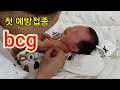 신생아 아기 예방접종 bcg 피내용 브이로그:) vaccination for newborn baby