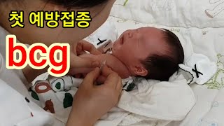 신생아 아기 예방접종 bcg 피내용 브이로그:) vaccination for newborn baby