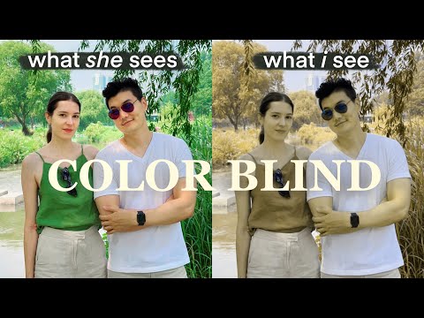 What&amp;#39;s <strong>it</strong> really like being Color Blind? 🌈 Job limitations, struggles, colorblind glasses? Q&amp;<strong>amp</strong>;A 🕶️