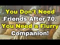 Why Small Dogs Are the Best Companions for Seniors over 60 (Senior Health, For the Elderly)