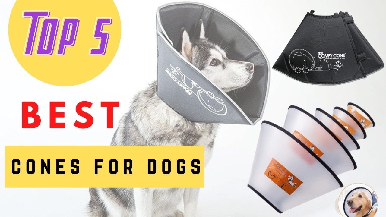 Top 5 Best Cones For Dogs Review 2021 YouTube
